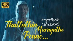 Thattathin Marayathe Penne Song