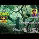 Kaadinte Ullu Song