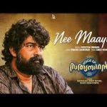 Nee Maayum Song