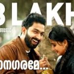 Oro Veedhiyorathum Song