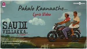 Pakalo Kaanaathe Song