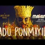 Aadu Ponmayile Song