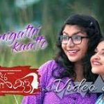 Changathikkatte Song
