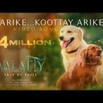 Arike Koottay Arike Song