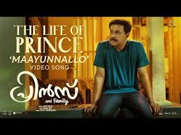 The Life Of Prince Song