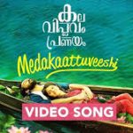Medakatu Veeshi Song