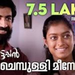 Meene Chembulli Song