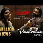 Palnilavin Poykayil Song