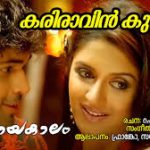 Kariraavin Kunnil Song