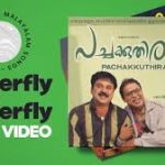  Buttarfly Buttarfly Song