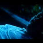 Hei Poocha Karimpoocha Song