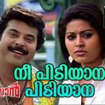 Nee Pidiyaana Song