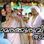 Thamarakuruvikku Thattamidu Song