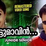 Nattumavin Kombathu Song