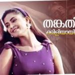 Palnilavamma Song