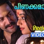 Pinakkamaano Ennodinakkamano Song