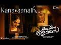 Kanavaanathu Song