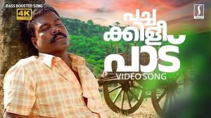 Pachakkili Paadu Song