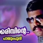 Thankakarimbinte Song