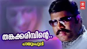 Thankakarimbinte Song