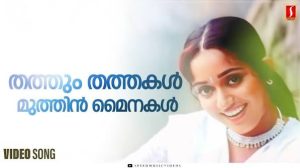 Thathum Thathakal Song